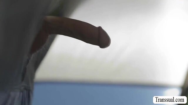 Unexpected encounter: man has anal sex with ts and her friend