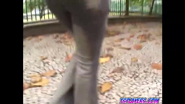 Intense anal play and dildo action with shemales