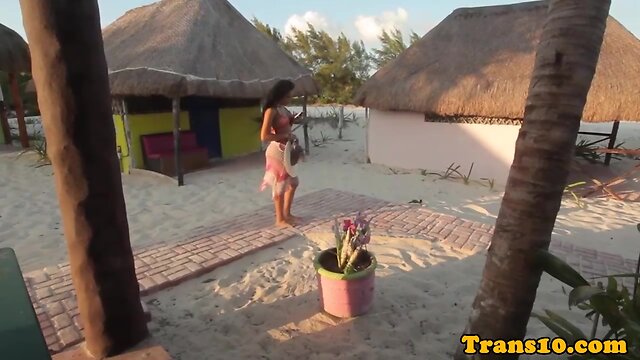 Stunning transgender sensually touches her aroused member