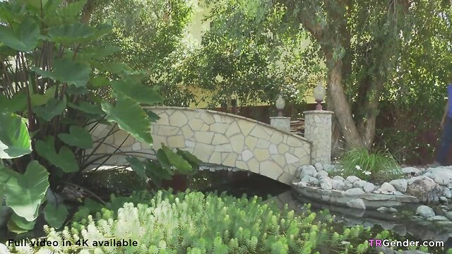 Intense transsexual action: sofia sander and gabriel dalessandro engage in passionate encounter