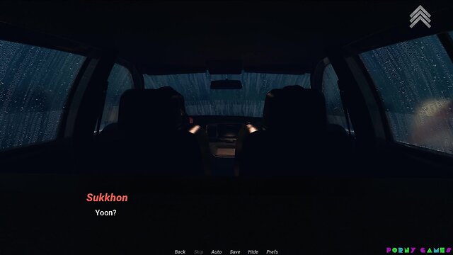 Unexpected encounter: episode 6 of stormy night car adventure