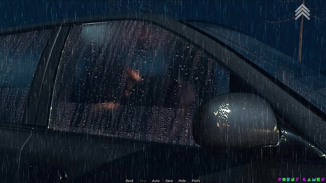 Unexpected encounter: episode 6 of stormy night car adventure