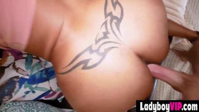 Thai ladyboy with busty figure in pov bareback action