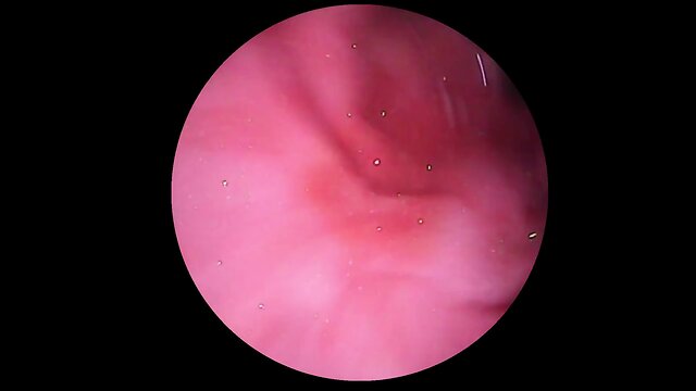 Intense dildo play in lingerie and stockings