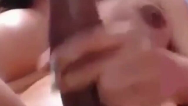 What is the name of the second trans?