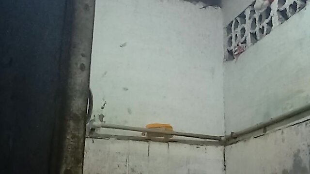 Join the queen for a fun masturbation session - come and join!