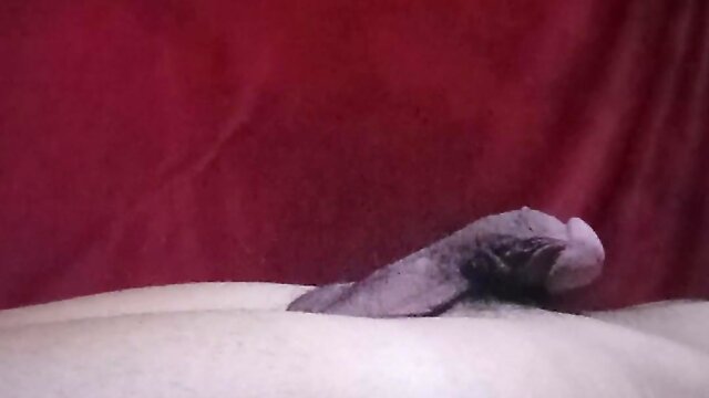 Beautiful girl masturbates