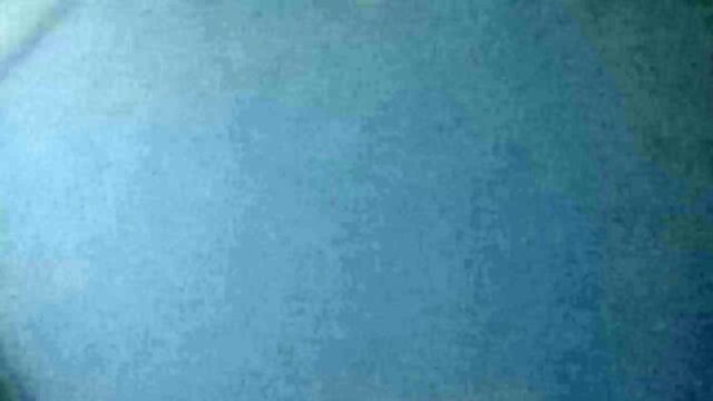 Collection of various videos of giving up the ass, follow @galegaderecife14