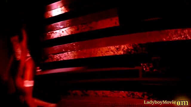 Ladyboy benzey gives blowjob and gets fucked