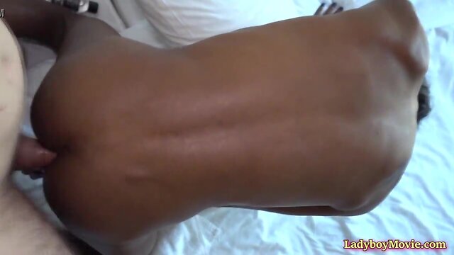 Intense bareback blowjob from thai shemale jina