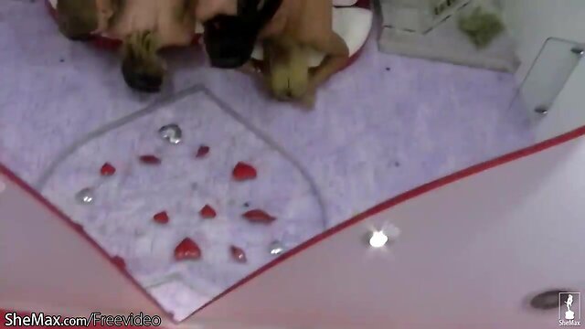 Tgirls with voluptuous butts take cucumber in their tight holes