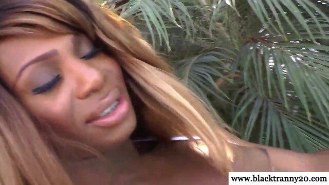 Amateur black shemale receives outdoor oral