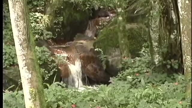 Great shemale sex on picnic