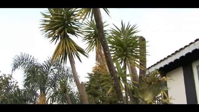 Lavina james in school