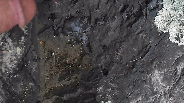 Whore Tranny Leslie cums in the woods!!!