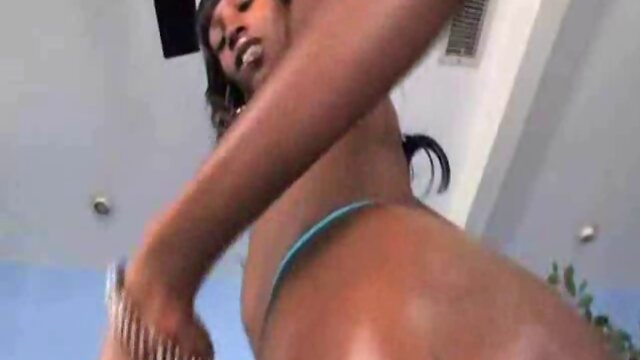 Solo Shemales Collection # 3