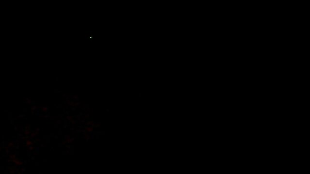 Fucking a local shemale!