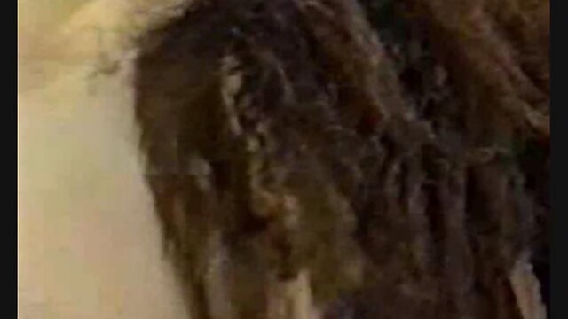 Tranny Aerobics (1 of 4)