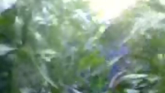 Raw Outdoor Solo: Amateur Man Pleasuring Himself with His Cock