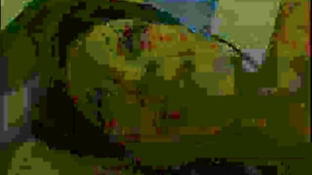 Chick With A Little Dicke