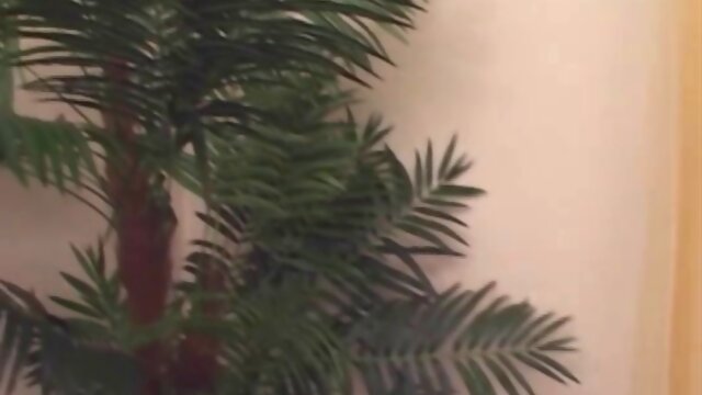 The guy prefers shemales to fuck