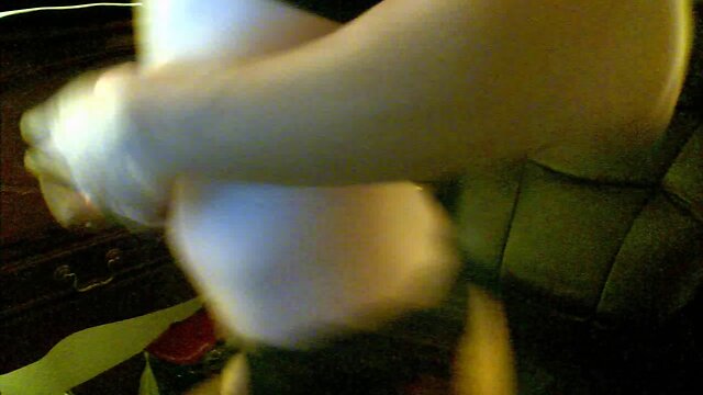 Lecherous crossdresser plays with a dildo at home