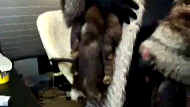 Redhead shemale slut in fur