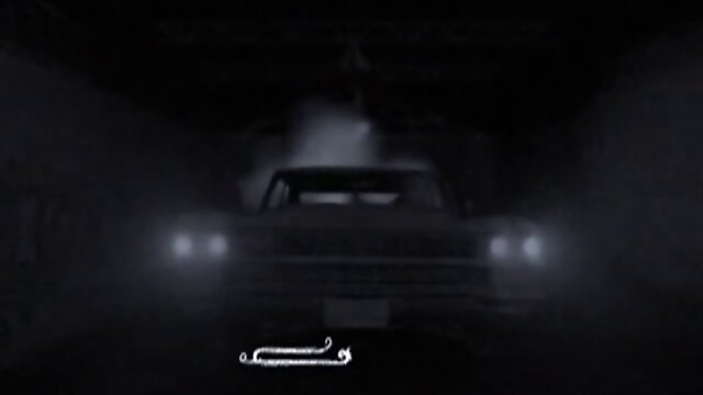 Various hot shemales fucking