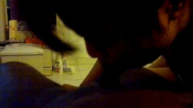 amateur shemale sucking dick