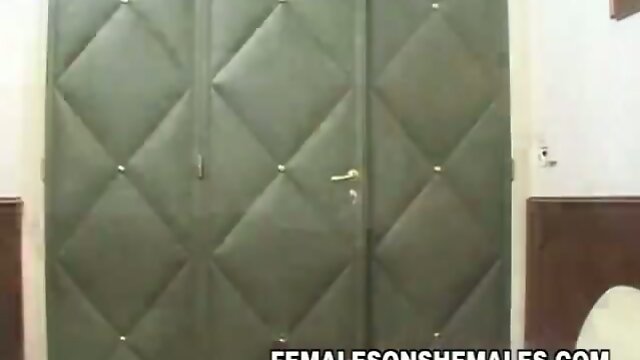 Shemale Boss Sheina Fucks Secretary