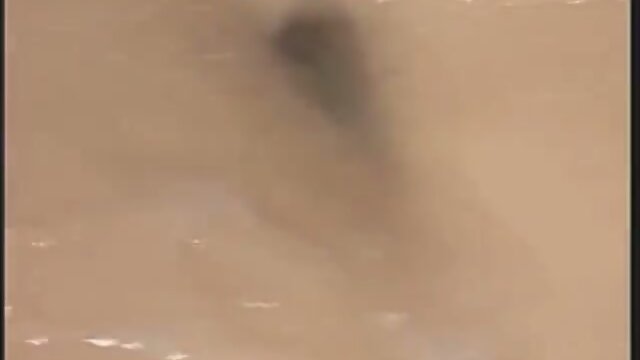 shemales and ladyboys