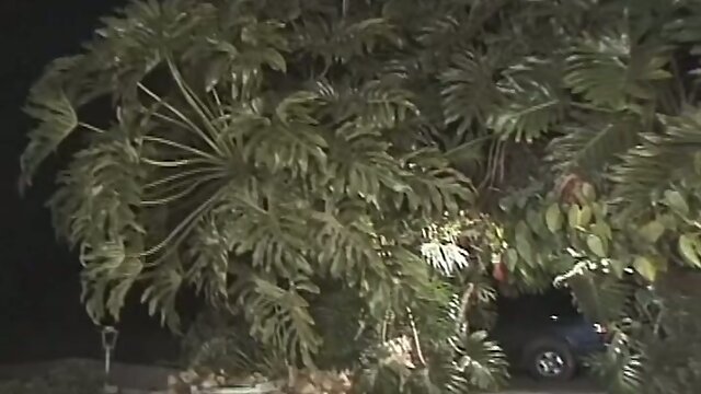 Junior & Suzanna Holmes